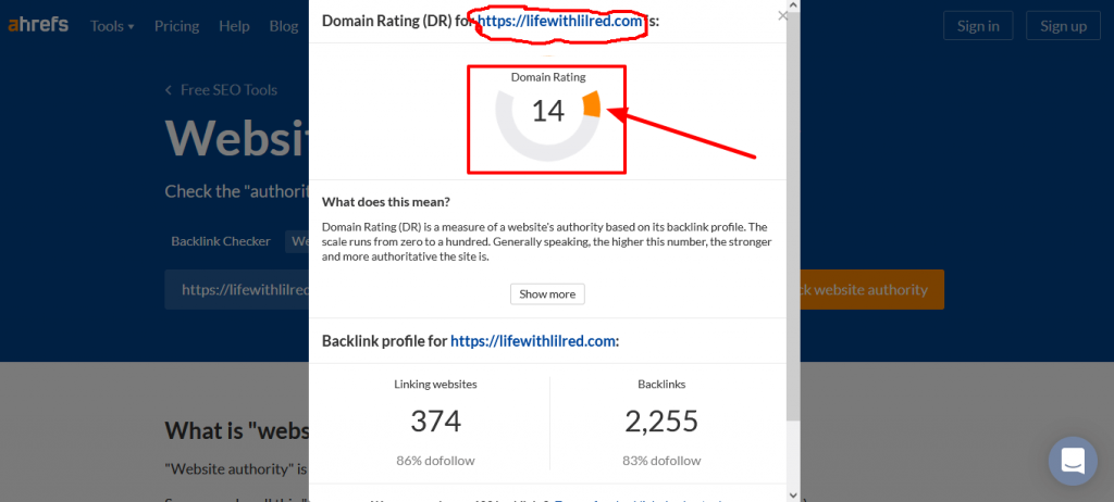 fatjoe link building review