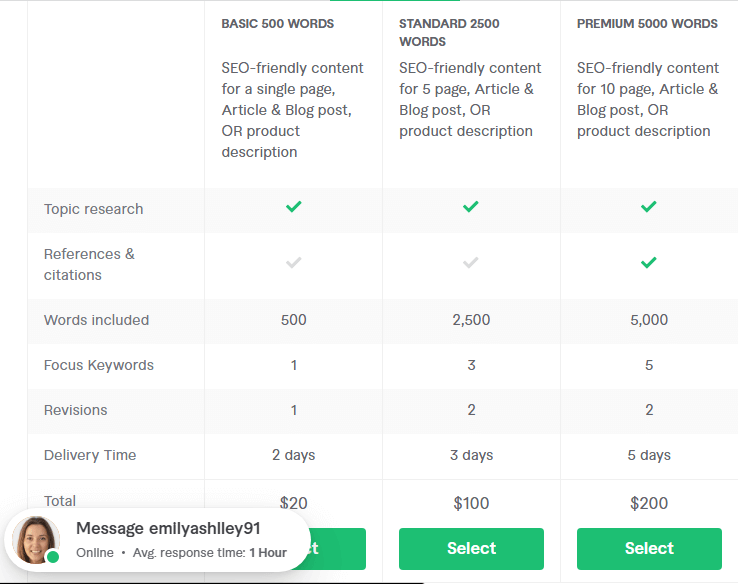 fiverr seo expert review emily pricing