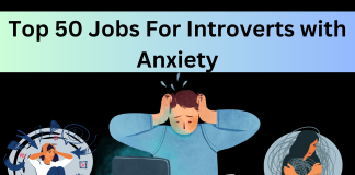 jobs for introverts with anxiety